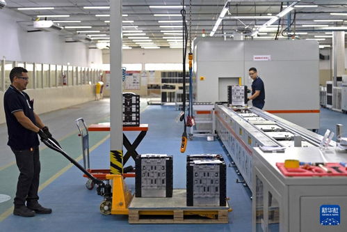 中國(guó)電動(dòng)車企為巴西新能源市場(chǎng)注入強(qiáng)勁動(dòng)力