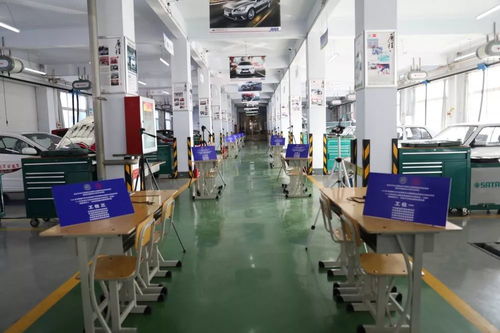 汽車運用與維修新紀(jì)元 智能新能源汽車職業(yè)技能等級證書試點考評圓滿成功