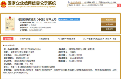 特斯拉在滬成立融資租賃公司，運營布局先行但工廠建設仍待加速 基于企業信用評估的深度剖析